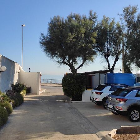 Seagull Apartments - Front And Sea View & Airport バーリ エクステリア 写真